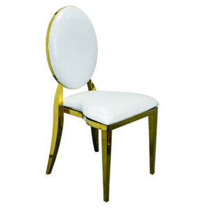 Gold Rim Luxury Dior Chair 1 - Rosetone