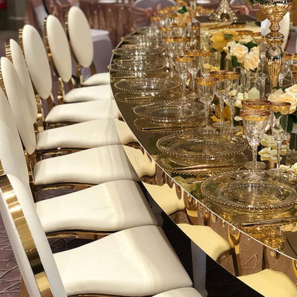 Gold Rim Luxury Dior Chair 5 - Rosetone